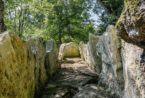 Fouilles Chateau Roquefort