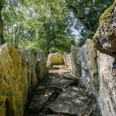 Fouilles Chateau Roquefort